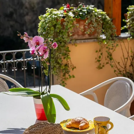 Leonardo In The Heart Of بوسيتانو