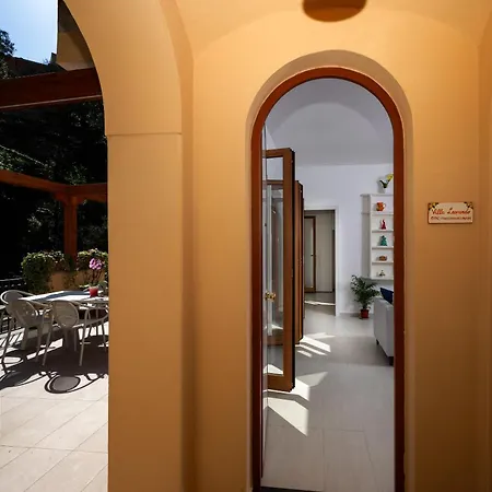 Leonardo In The Heart Of * بوسيتانو